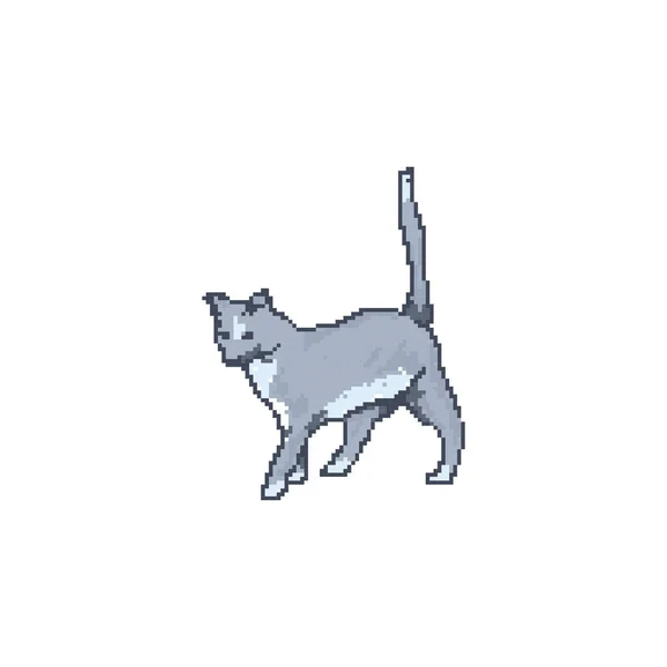 Кошачья Векторная Иллюстрация Фон Элемента Значка — стоковый вектор