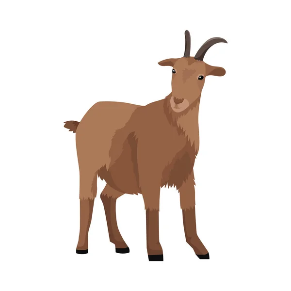 Goat Vector Illustration Icon Element Background — Stock Vector