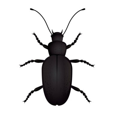 Vektör illüstrasyonu, simge ögesi arkaplanı