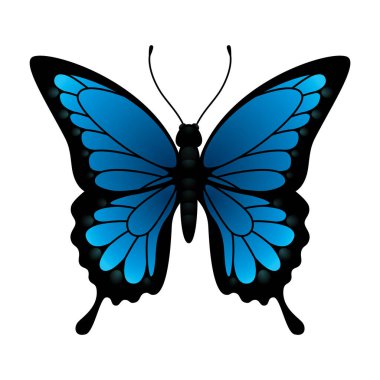 Vektör illüstrasyonu, simge ögesi arkaplanı