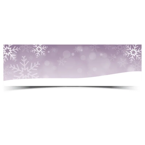 Banner Vector Colorido Para Tarjetas Vacaciones Invierno — Vector de stock