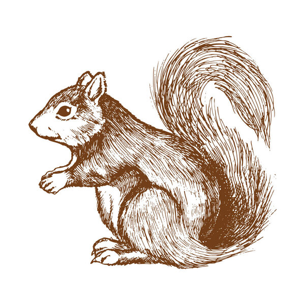 vector illustration, icon element background