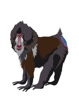 Vektör illüstrasyonu, simge ögesi arkaplanı