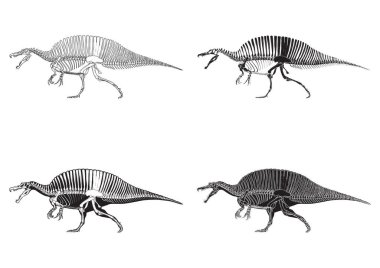 Vektör illüstrasyonu, simge ögesi arkaplanı