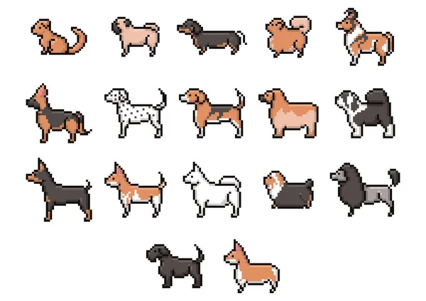 Hunde Vektor Illustration Icon Element Hintergrund — Stockvektor