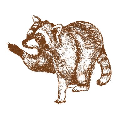 Vektör illüstrasyonu, simge ögesi arkaplanı