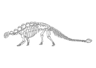 Vektör illüstrasyonu, simge ögesi arkaplanı