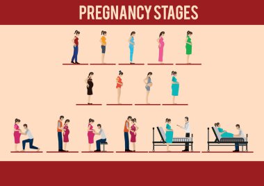 Basit grafik simgesi vektör illüstrasyonu