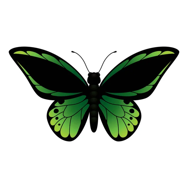 Schmetterling Vektor Illustration Symbol Element Hintergrund — Stockvektor
