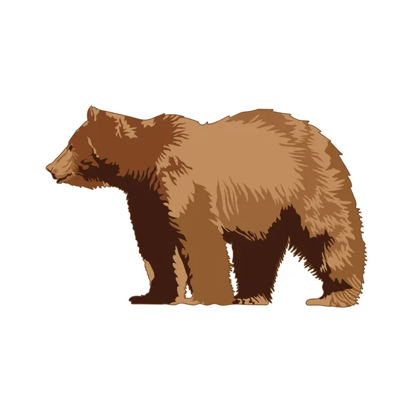 Bear Vektor Illustration Icon Element Hintergrund — Stockvektor