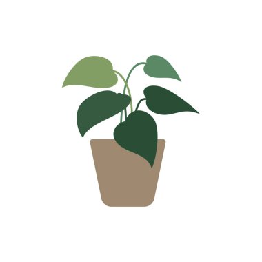 Web sitesi, vektör illüstrasyonu için düz simge 