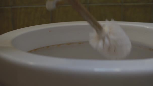 Ручная чистка туалета — стоковое видео