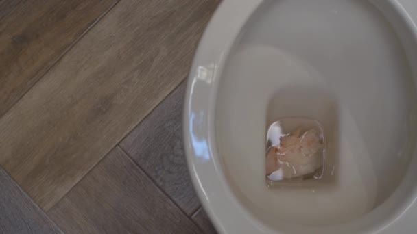 Cause possible de l'obstruction des toilettes — Video