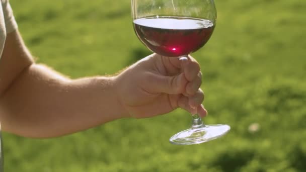 Glas av vin i mannens hand — Stockvideo