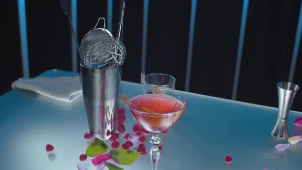 Cocktail abito rosso pronto — Video Stock