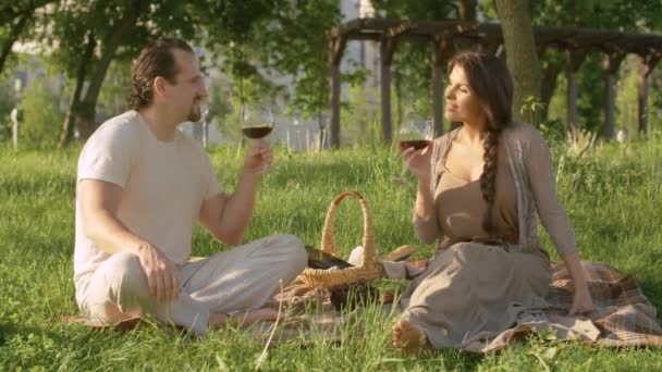 Pár na pikniku v parku popíjení vína — Stock video