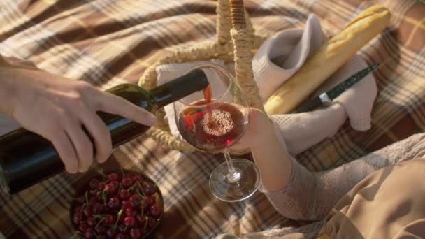 Retrato de una hermosa mujer bebiendo vino — Vídeos de Stock