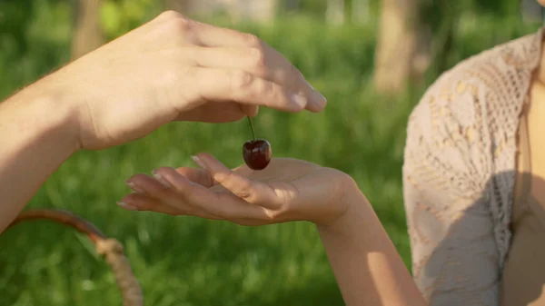 Close Male Hand Putting Cherry Female Hand Picnic Grass Park — Stock Photo, Image
