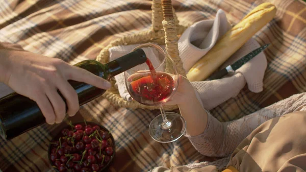 남자가 그녀의 유리에 와인을 있습니다 공원에 사람들 체리가 바구니에 넣는다 — 스톡 사진