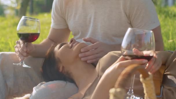 Портрет щасливої пари на пікніку — стокове відео
