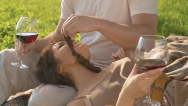 Retrato de pareja feliz en el picnic — Vídeo de stock