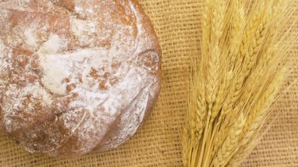 Pão assado e espigas de trigo — Vídeo de Stock
