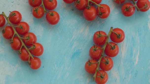 Tomates vermelhos com gotas de água em uns ramos — Vídeo de Stock