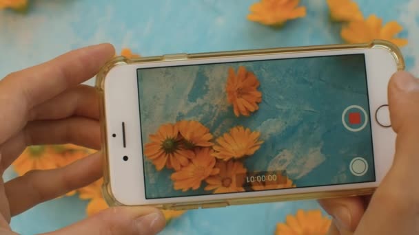 Prendre des photos de fleurs de calendula — Video