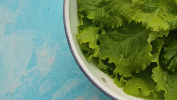 Lechuga fresca en el tazón — Vídeos de Stock