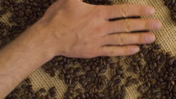 Mistura manual de grãos de café — Vídeo de Stock