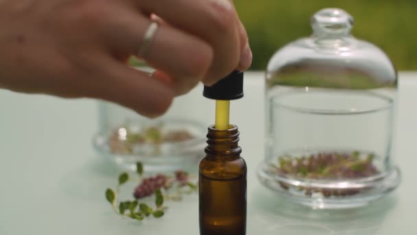Fleurs de thym et huile essentielle — Video