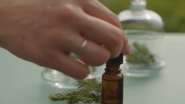 Spruce esaslı petrol