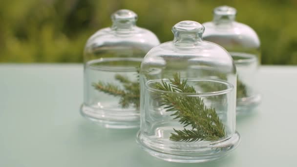 Branches de sapin dans des pots en verre — Video