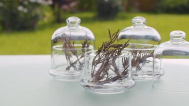 Biberiye yaprakları cam kavanozlarda