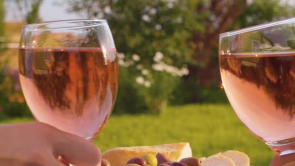 Blandningsglas av rosévin — Stockvideo