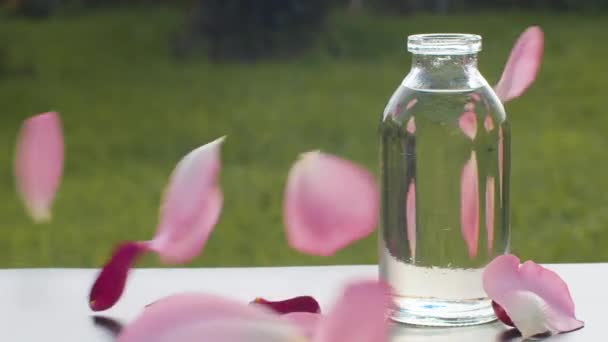 Olio base e petali di rosa — Video Stock
