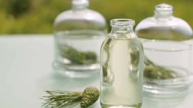 Çam dallarını ve baz yağını kapatın. Masadaki cam kavanozlarda iğne ve koniler. Şifalı bitkiler. Kozmetik, eczane ve aromaterapi için bitkiler. Kamerayla yakın çekim yap veya hareket ettir.
