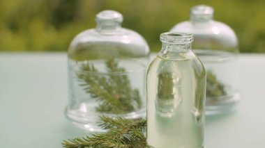 Çam dallarını ve baz yağını kapatın. Masadaki cam kavanozlarda iğne ve koniler. Şifalı bitkiler. Kozmetik, eczane ve aromaterapi için bitkiler. Kamerayla yakın çekim yap veya hareket ettir.