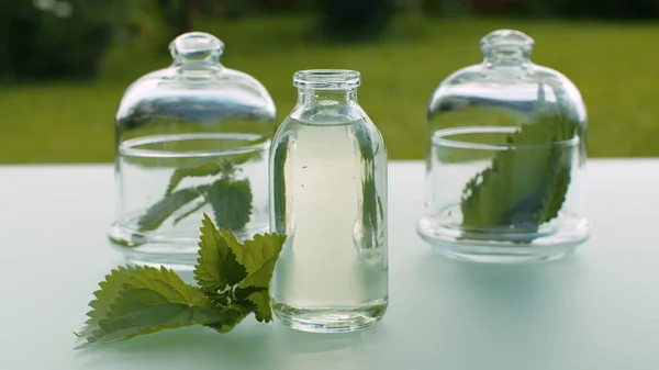 Close Nettle Leaves Base Oil Leaves Glass Jars Table Healing — Stock Photo, Image