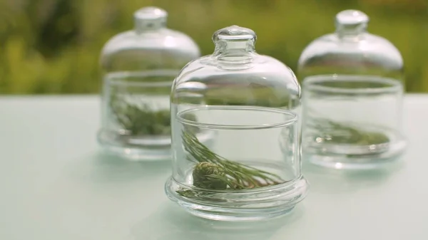 Tannenzweige Und Grüne Zapfen Glasgefäßen Auf Dem Tisch Garten Schließen — Stockfoto