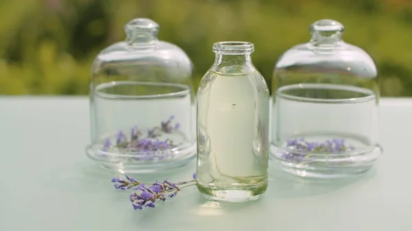 Close up lavender flowers in glass jars and base oil on the table in the garden. Healing herbs. Natural pharmacy and aromatherapy concept. Closeup shot with slide or move camera.