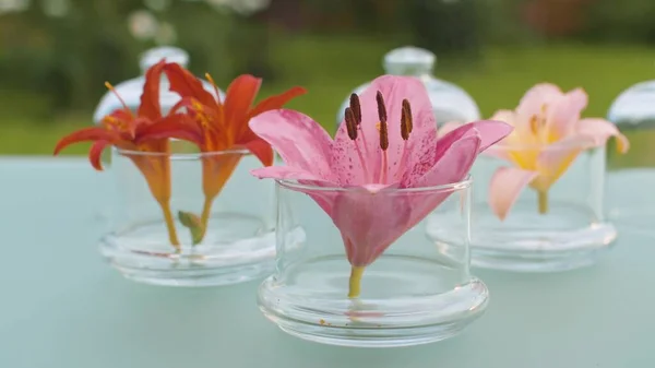 Close Beautiful Flowers Pink Lilies Glass Jars Table Outdoors Macro — Stock Photo, Image