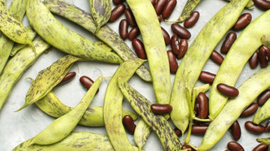 Yeşil fasulye kabukları ve fasulyeler. Yemek arkaplanını, dokuyu kapat