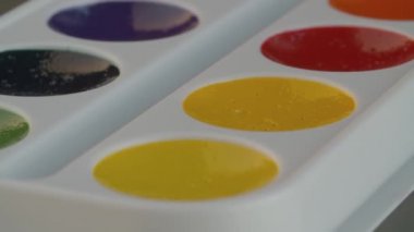 Plastik bir kutuda suluboya resimler.