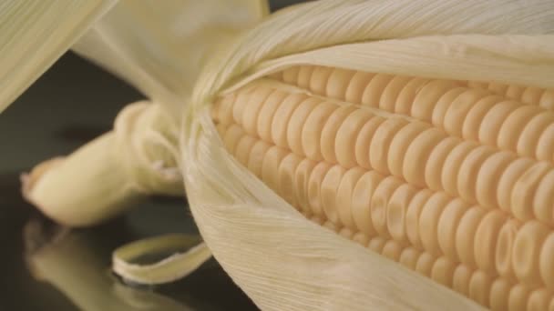 Świeże ucho dojrzałej kukurydzy — Wideo stockowe