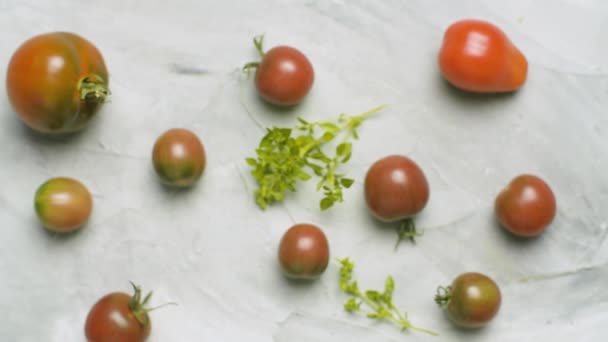Tomates Prince negros — Vídeo de stock