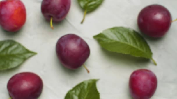 Ripe plums and plum leaves — Stock Video