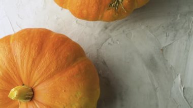 Olgun portakal kabakları