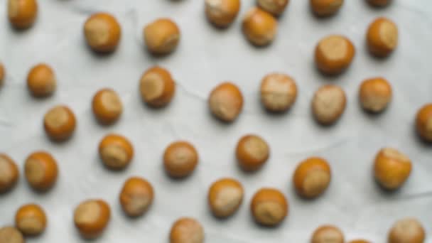 Hazelnuts in shell — Stock Video