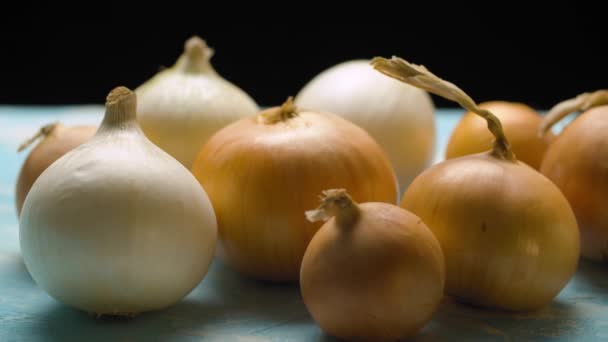 Świeże surowe cebule na stole — Wideo stockowe